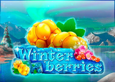 Winter Berries